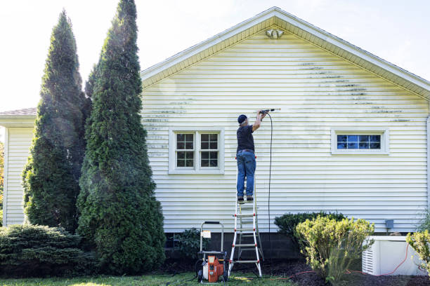 Best Commercial Building Pressure Washing  in Seymour, TX