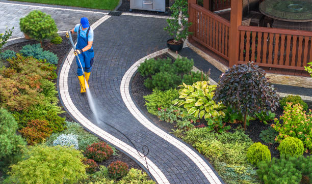 Best Exterior Home Cleaning  in Seymour, TX
