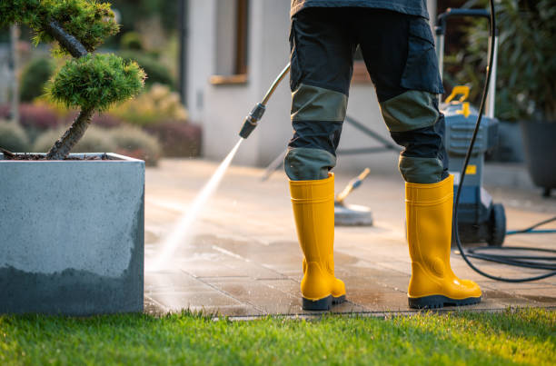 Best Power Washing Near Me  in Seymour, TX